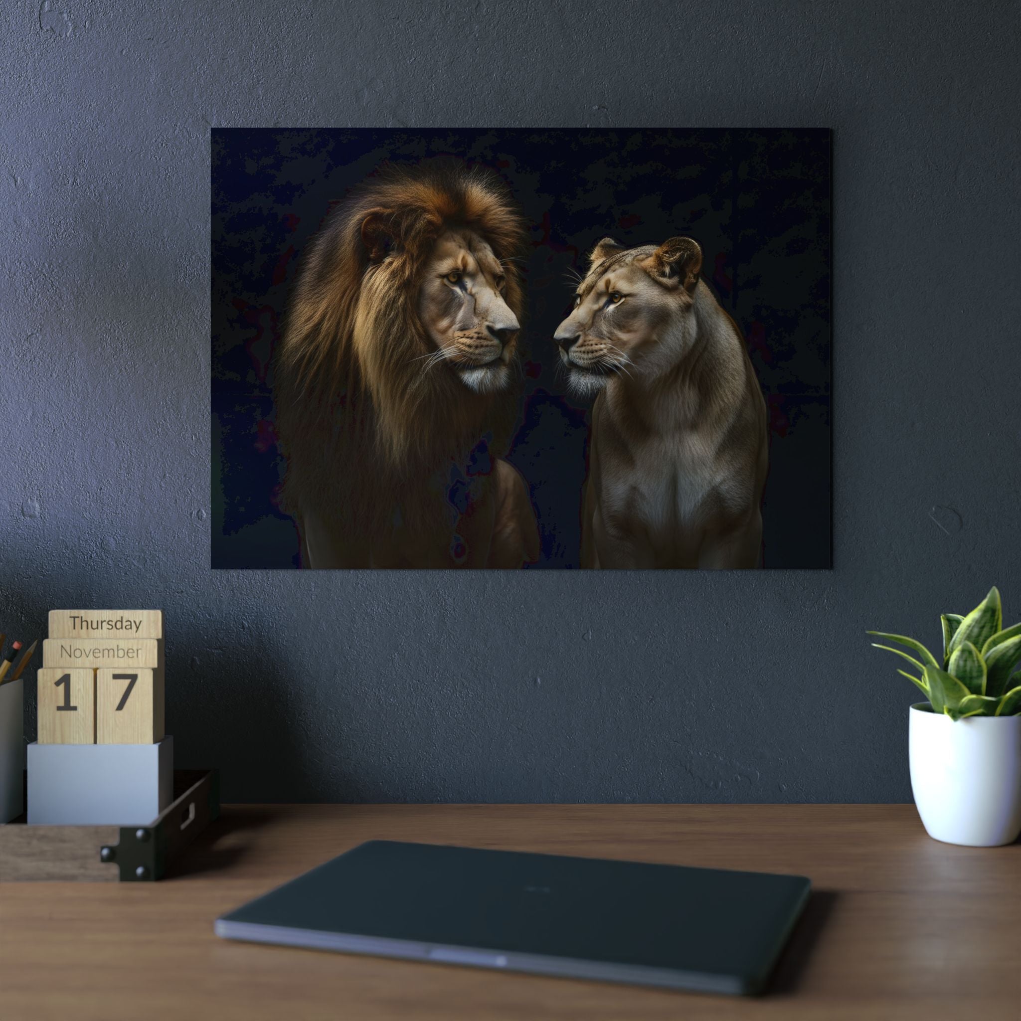 Lions Relations