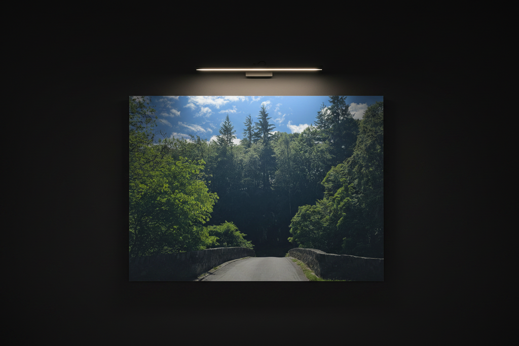 Scenic Forest Bridge