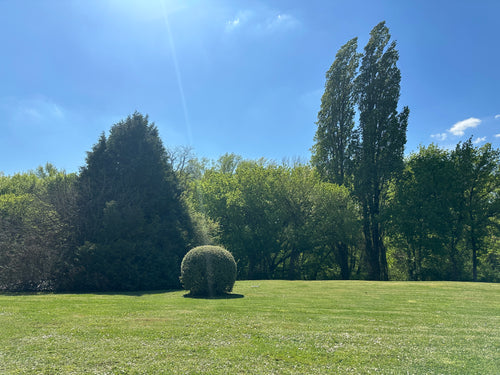 Detailansicht Aluminium Kunstdruck French Garden – mattes Metallbild, UV-beständig und kratzfest 