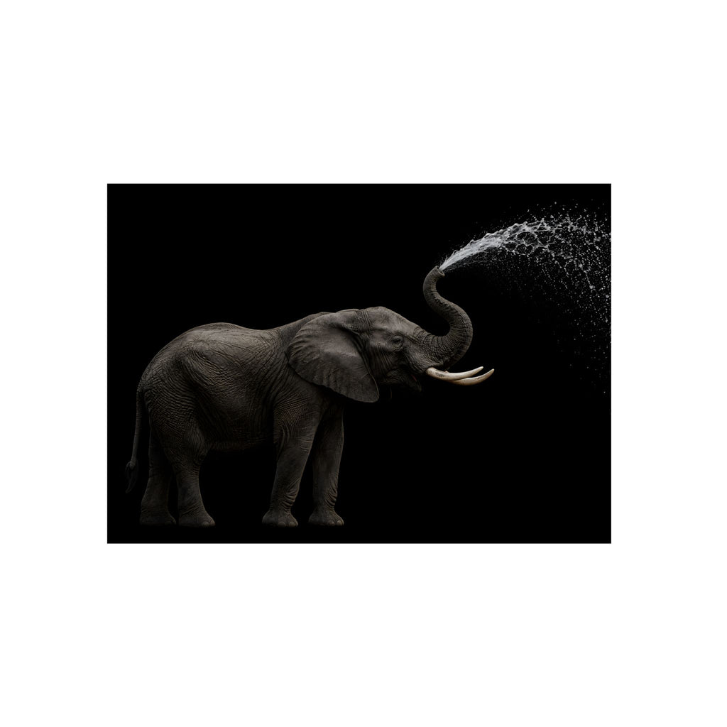 Grey Giant # 1