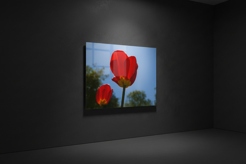 Aluminium Kunstdruck Flower and Sky im Wohnzimmer – Blumen Metallbild an Betonwand